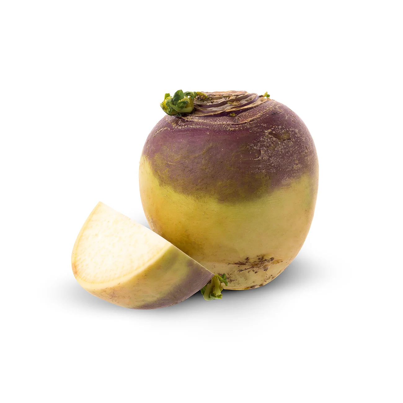 Swede (Turnip) x 1